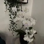 Nt